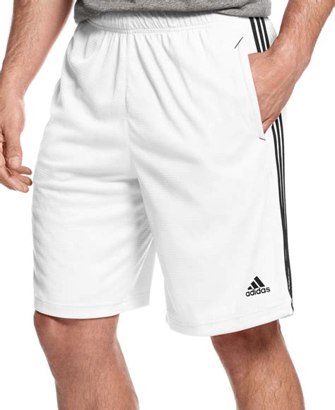 adidas herren shorts clima|adidas climalite pockets.